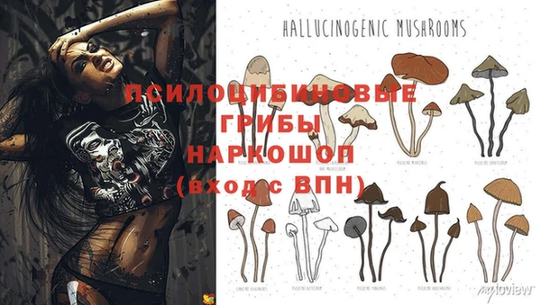 2c-b Алексин