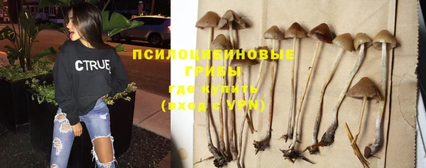 кокаин колумбия Михайлов